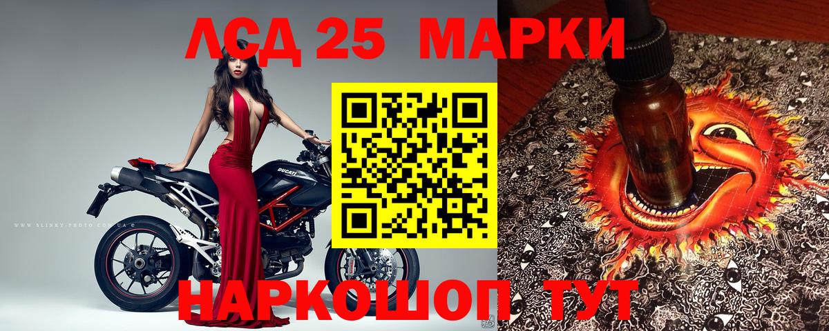Губкинский  Марки NBOMe 1,5мг  Марки NBOMe 1,5мг  Вход с VPN 