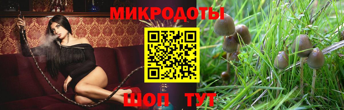 Псилоцибиновые грибы мухоморы Губкинский