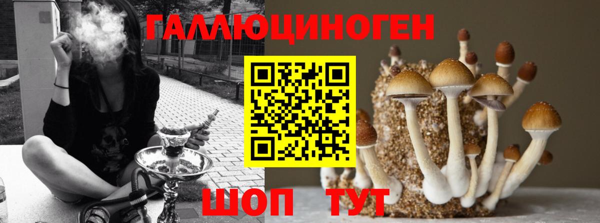 купить наркотик  Вход с VPN  Губкинский  Галлюциногенные грибы мухоморы 
